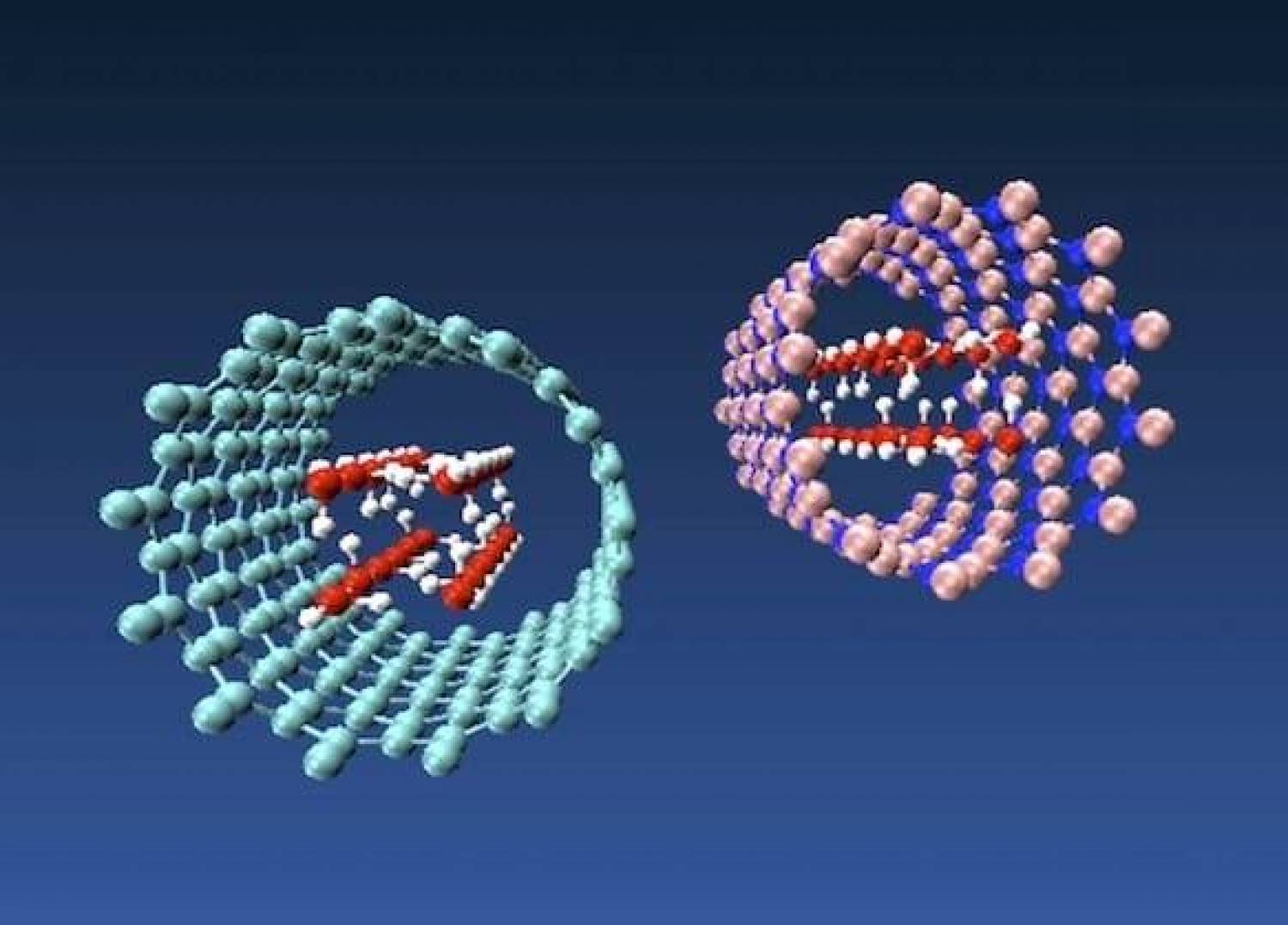 Differences in Properties between Boron Nitride Nanotubes and Carbon Nanotubes