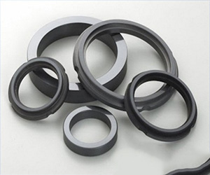 Silicon Nitride Seal Rings